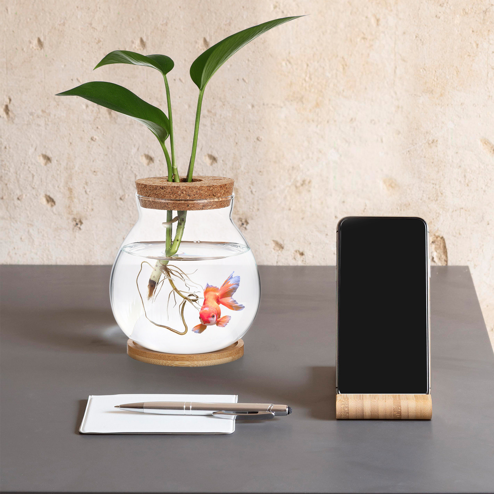 Planted Aquarium Bowl - Desktop Glass Fish Bowl Small Betta