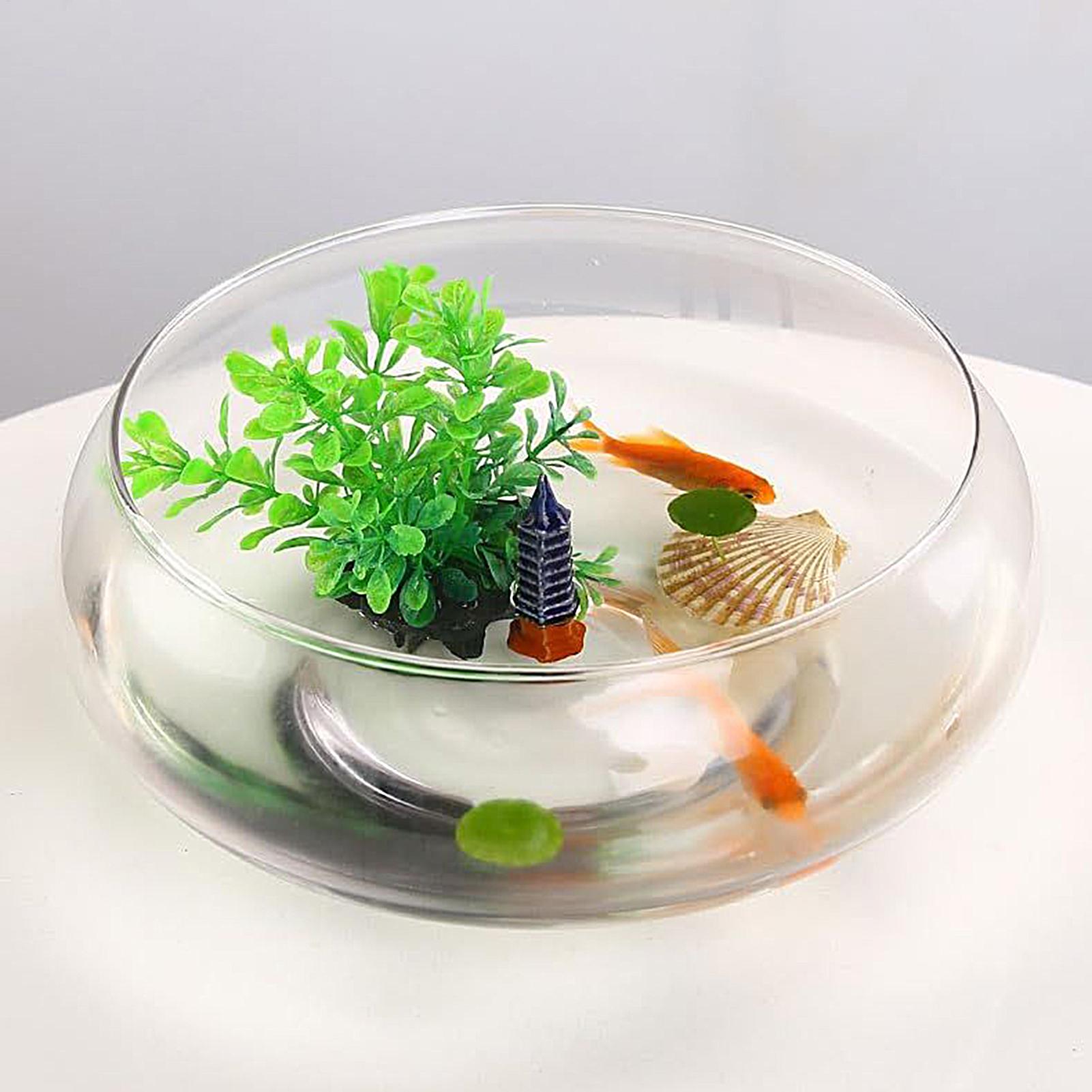 Planted Aquarium Bowl - Fish Glass Bowl Glass Large Hydroponics
