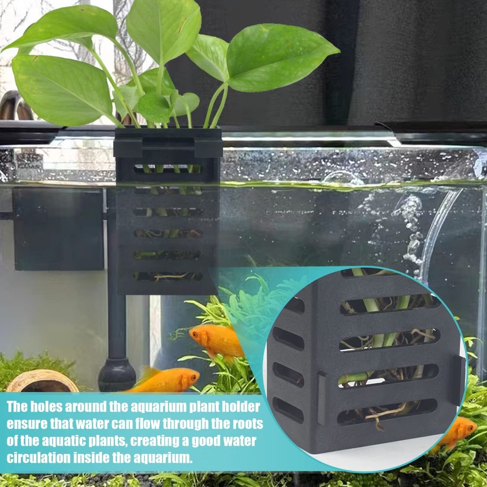 Aquarium Fish Tank Plant Holde - Emersed Plants Aquarium ulasan dan harga