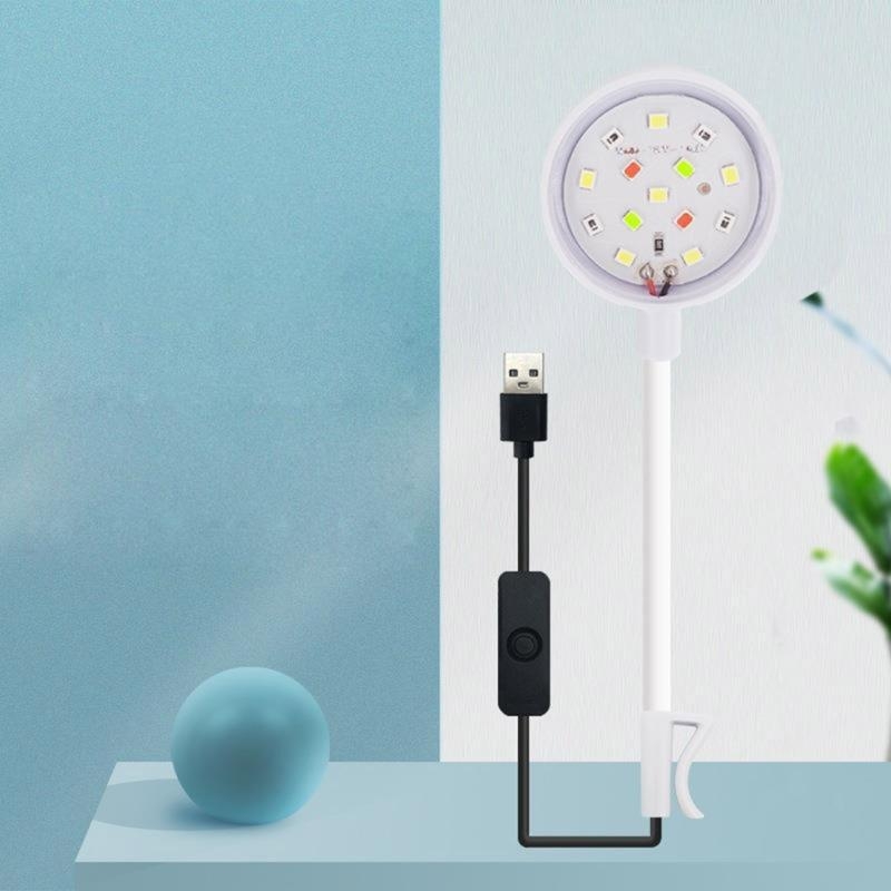 Small Aquarium Fish Bowl LED L - Planted Aquarium Bowl ulasan dan harga