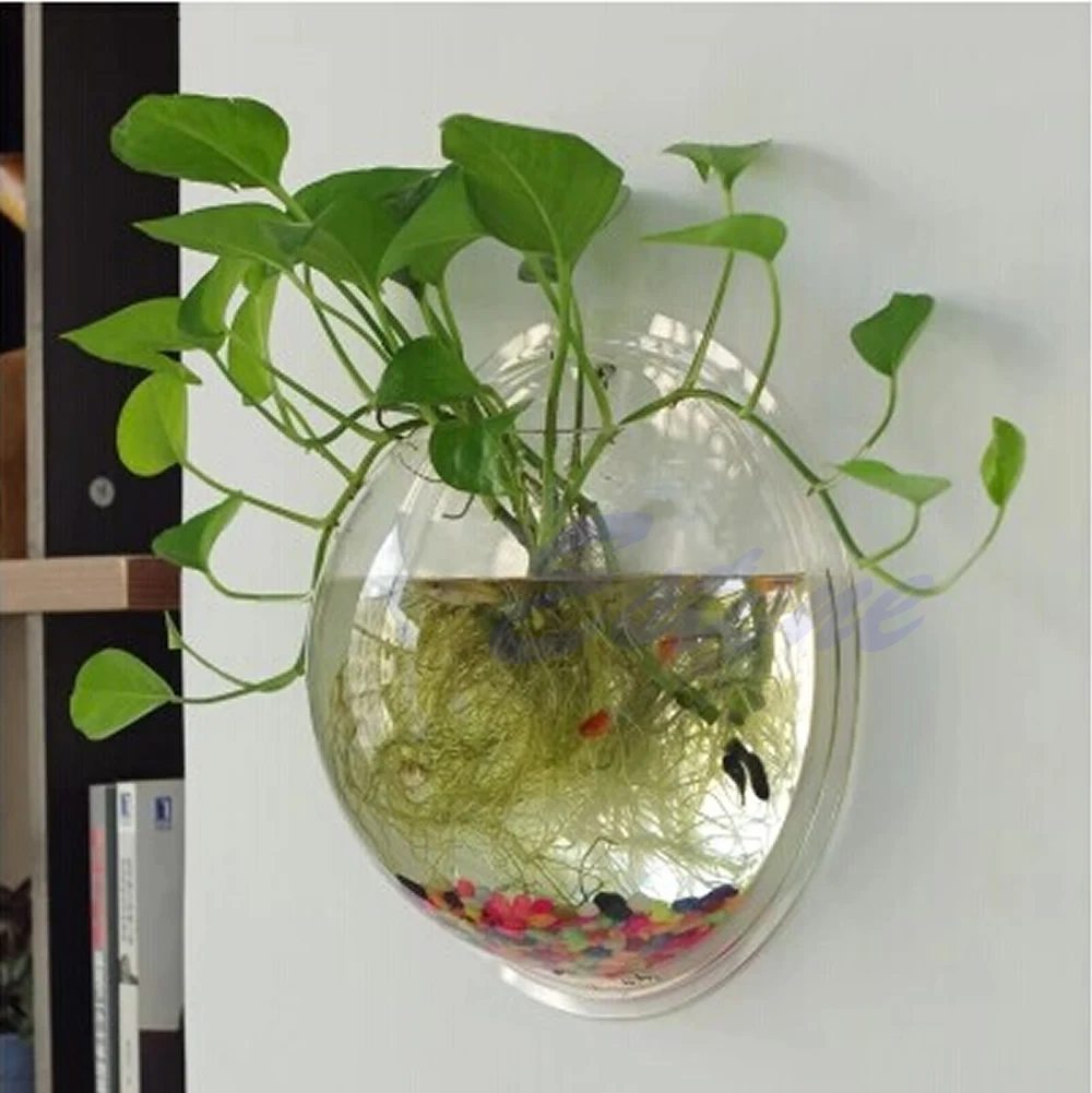 Wall Mounted Acrylic Fish Bowl - Planted Aquarium Bowl ulasan dan harga