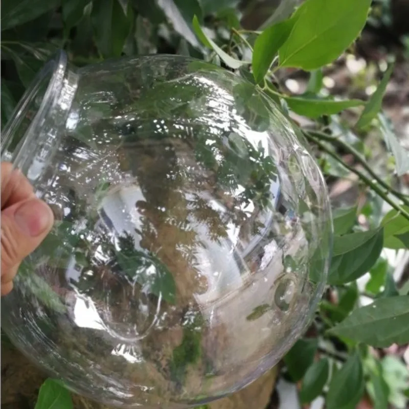 Goldfish bowl desktop transpar - Planted Aquarium Bowl ulasan dan harga
