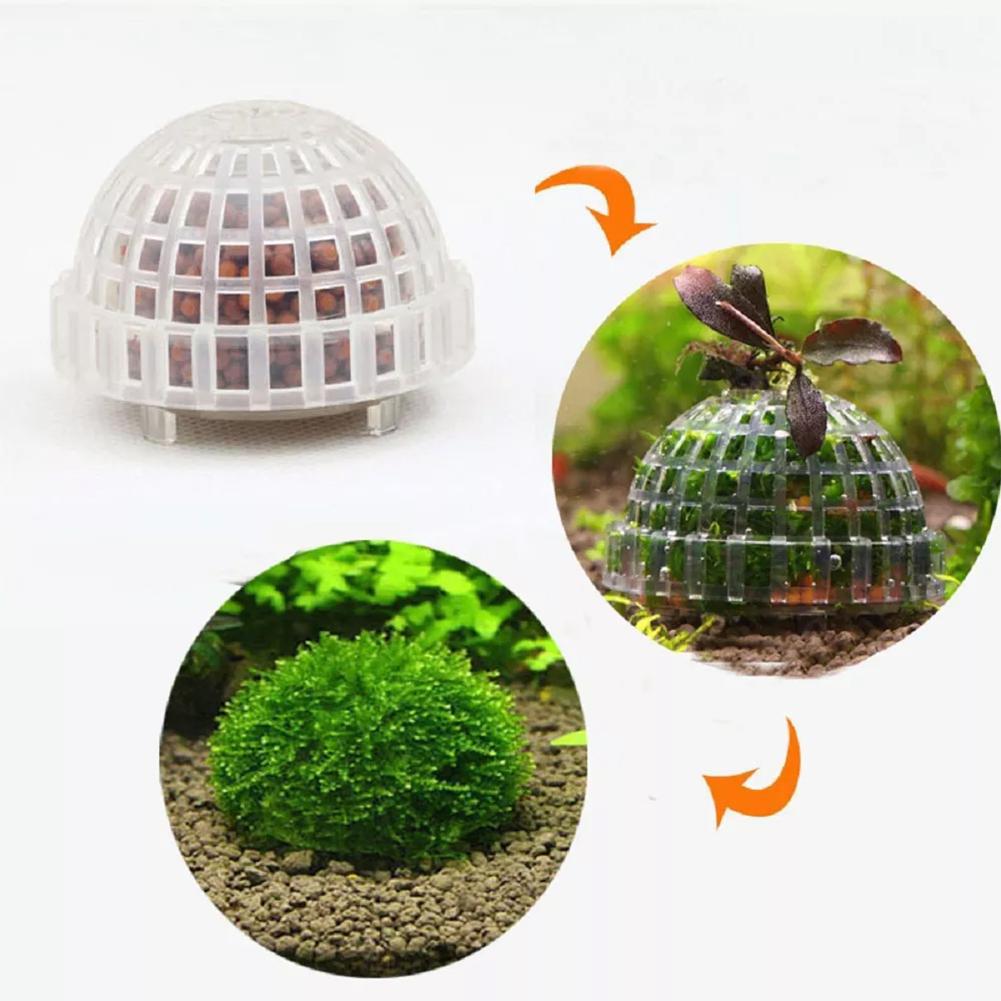 1pc Aquarium Moss Ball Holders - Planted Aquarium Models ulasan dan harga