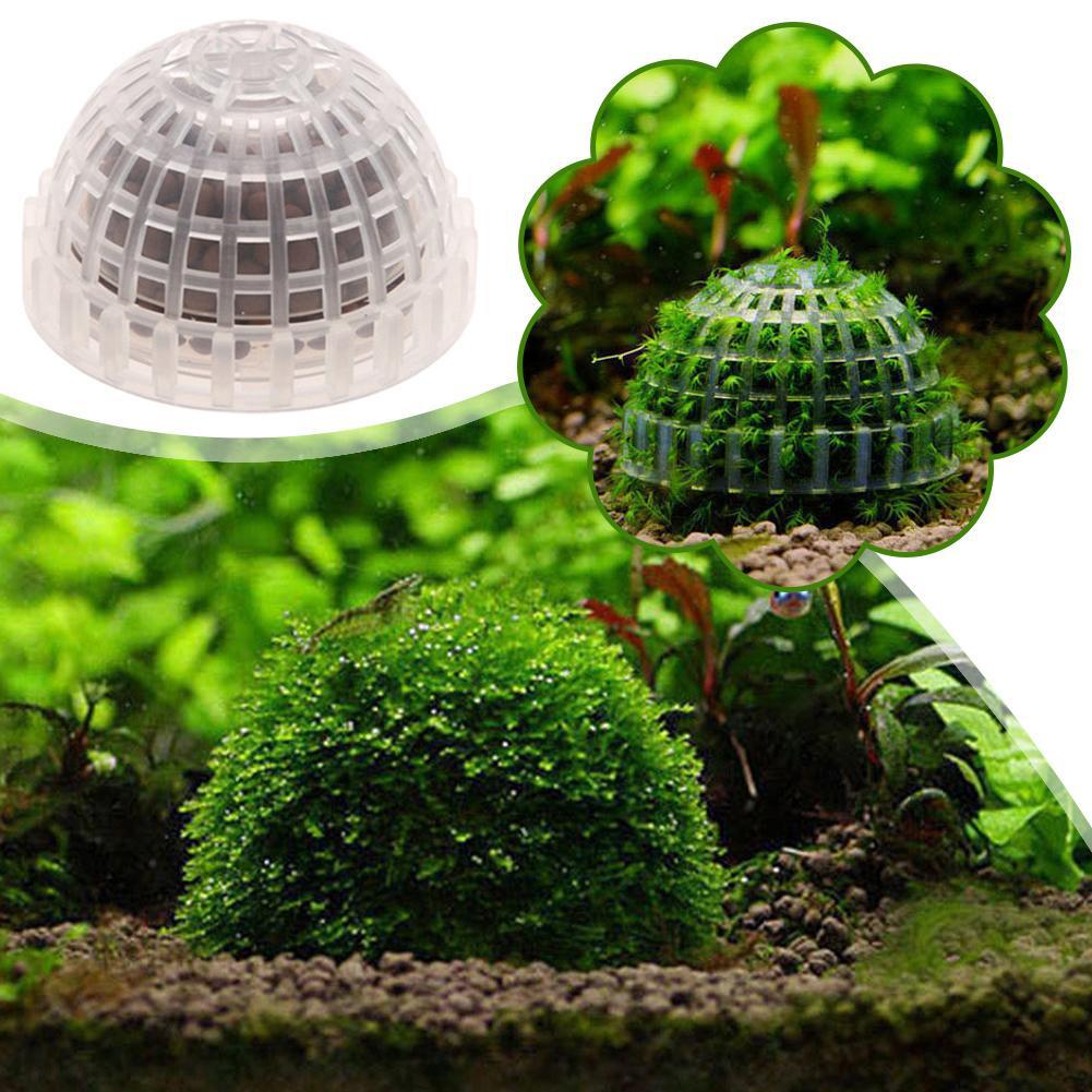 1pc Aquarium Moss Ball Holders - Planted Aquarium Models ulasan dan harga