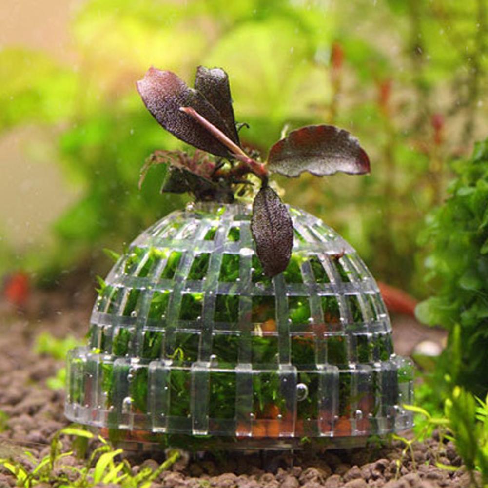 1pc Aquarium Moss Ball Holders - Planted Aquarium Models ulasan dan harga