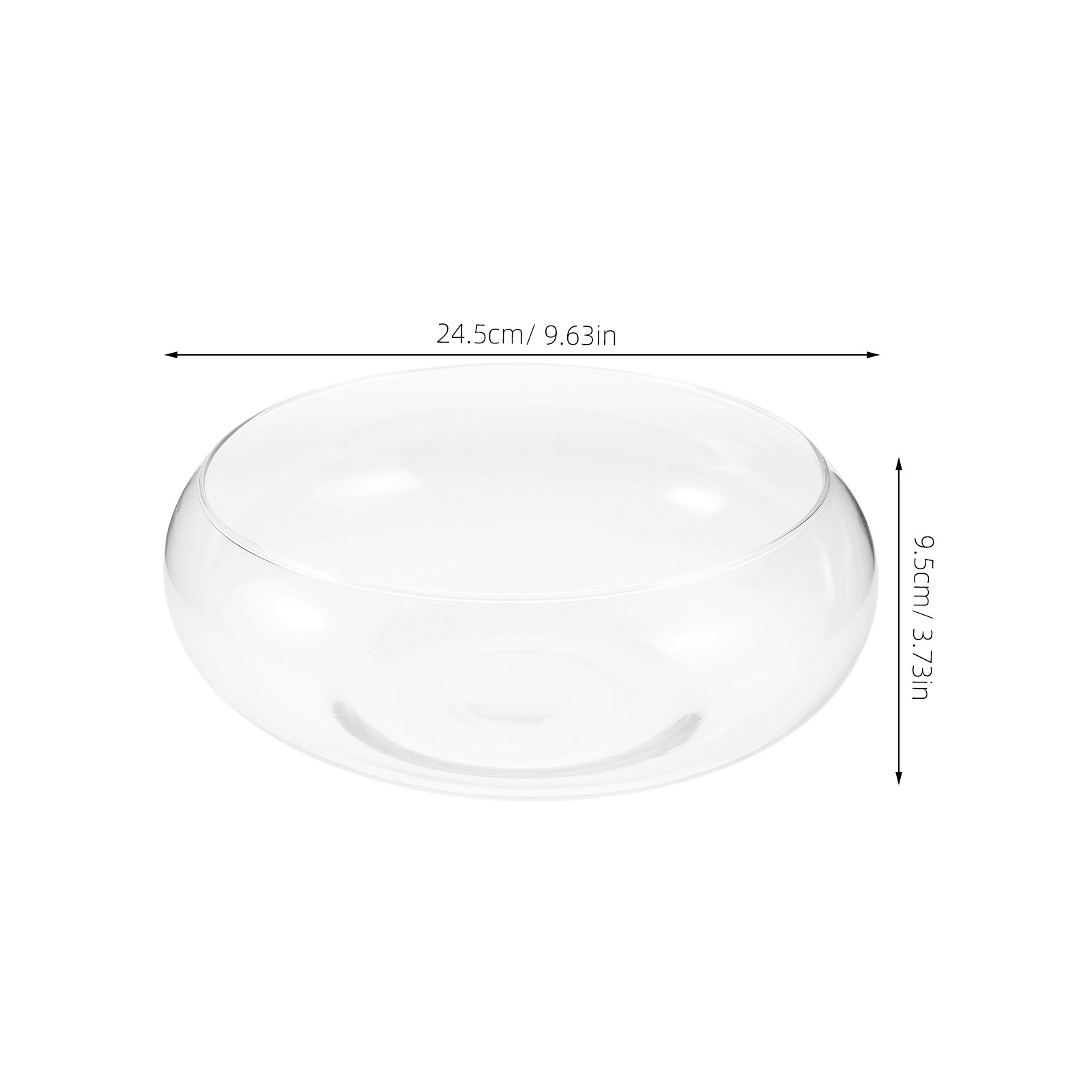 Hydroponic Glass Planter Vase  - Planted Aquarium Bowl ulasan dan harga