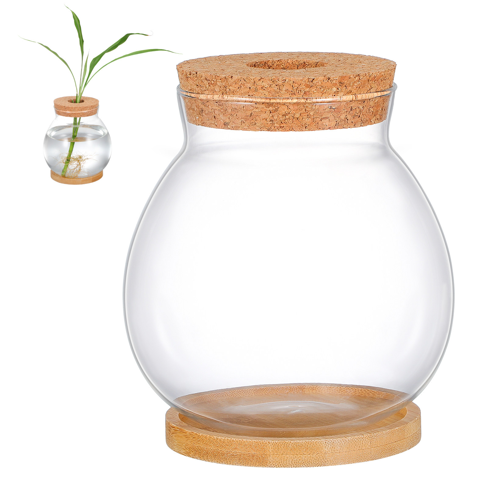 Desktop Glass Fish Bowl Small  - Planted Aquarium Bowl ulasan dan harga