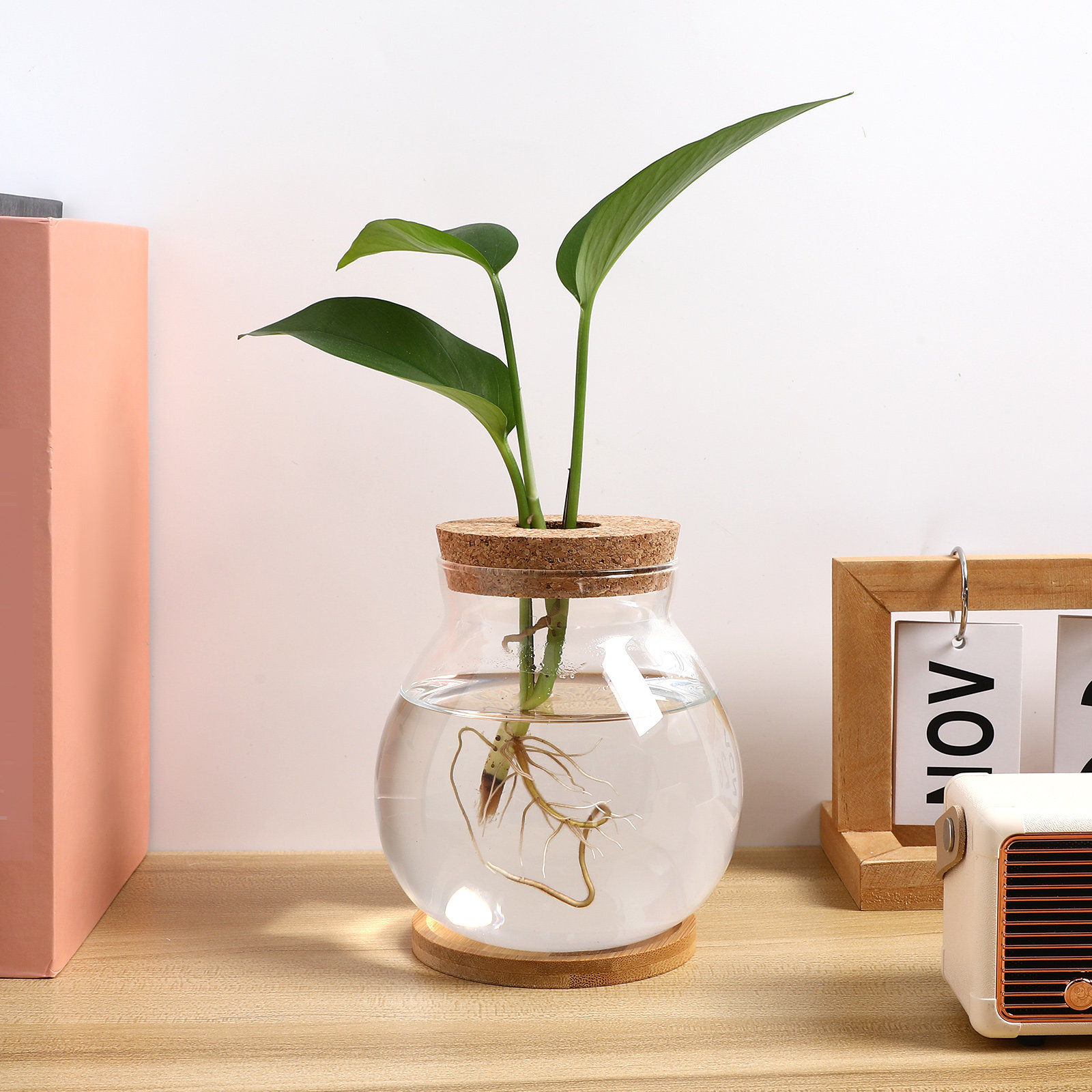 Desktop Glass Fish Bowl Small  - Planted Aquarium Bowl ulasan dan harga