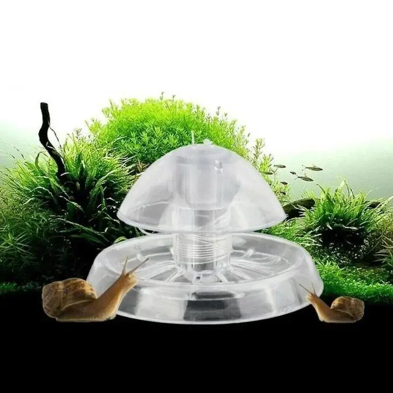 2026 New 6/8CM Clear Plastic S - Planted Aquarium Tools ulasan dan harga