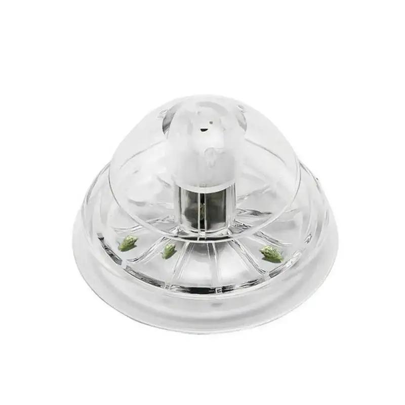 2026 New 6/8CM Clear Plastic S - Planted Aquarium Tools ulasan dan harga