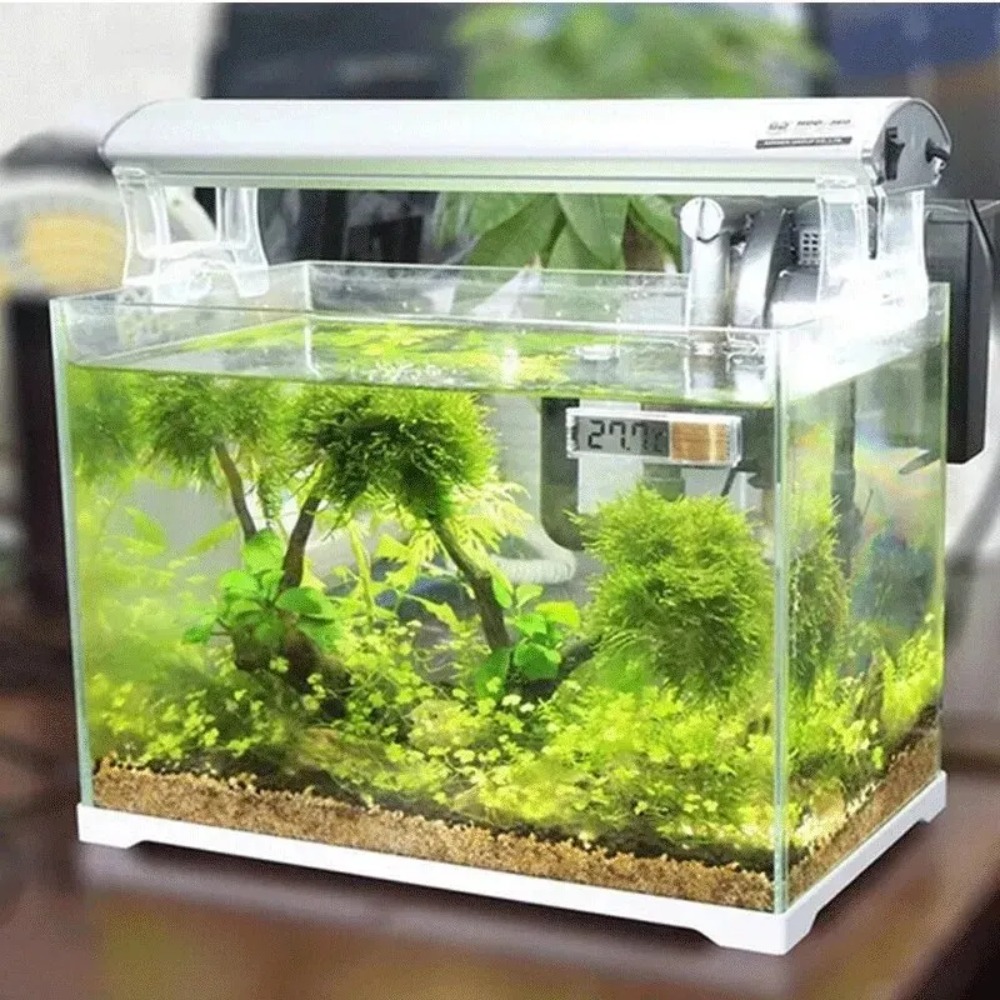 1PC Aquarium Thermometer Elect - Planted Aquarium Temperature ulasan dan harga