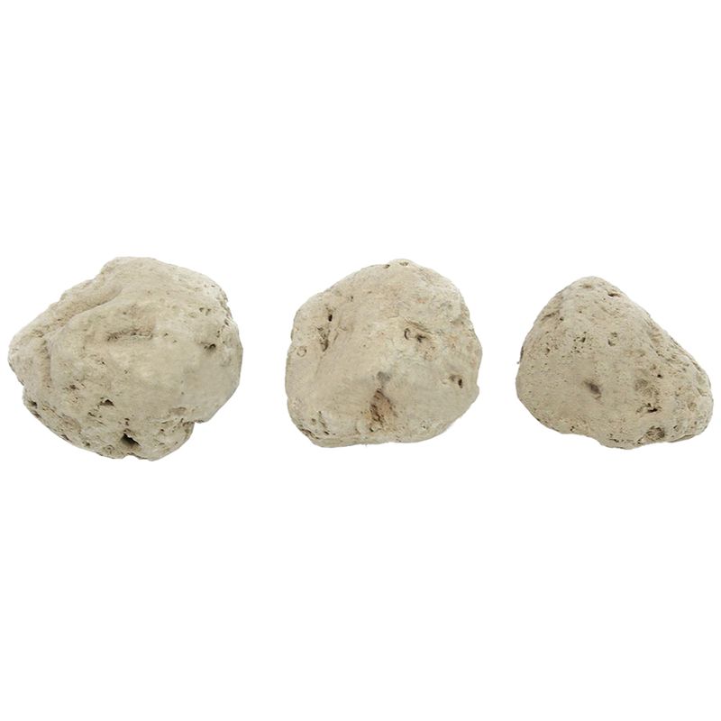 12Pcs Floating Real Rocks Aqua - Planted Aquarium Models ulasan dan harga