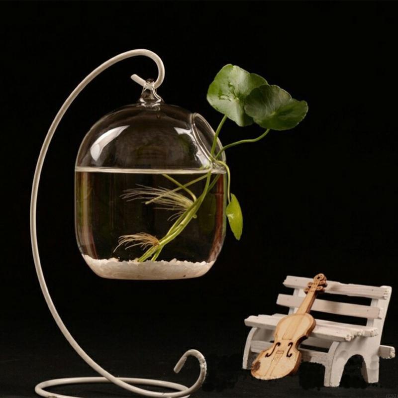 62KD Suspended Transparent Han - Planted Aquarium Bowl ulasan dan harga