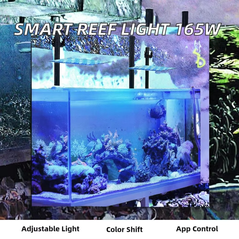 165W Dimmable WiFi APP Control - Planted Aquarium Models ulasan dan harga