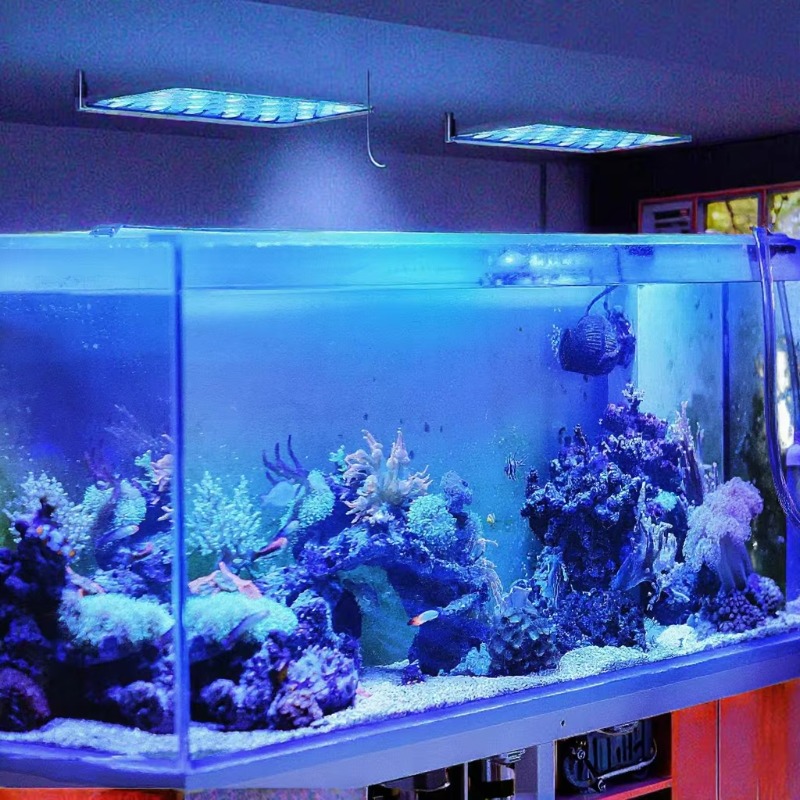 165W Dimmable WiFi APP Control - Planted Aquarium Models ulasan dan harga