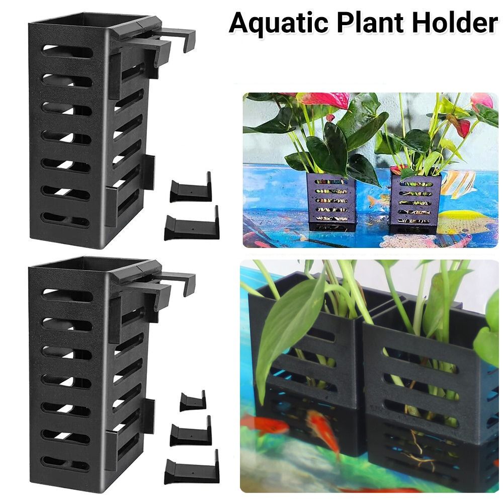 Hydroponic Aquarium Glass Plan - Emersed Plants Aquarium ulasan dan harga