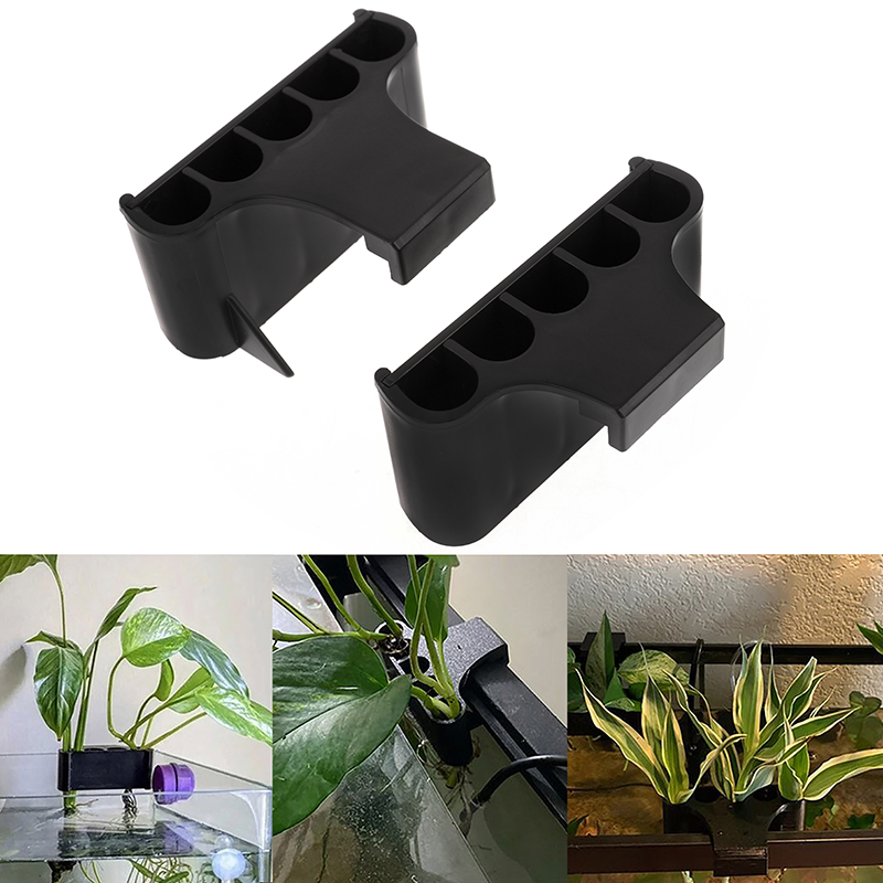 Hanging Aquarium Plant Holder  - Emersed Plants Aquarium ulasan dan harga
