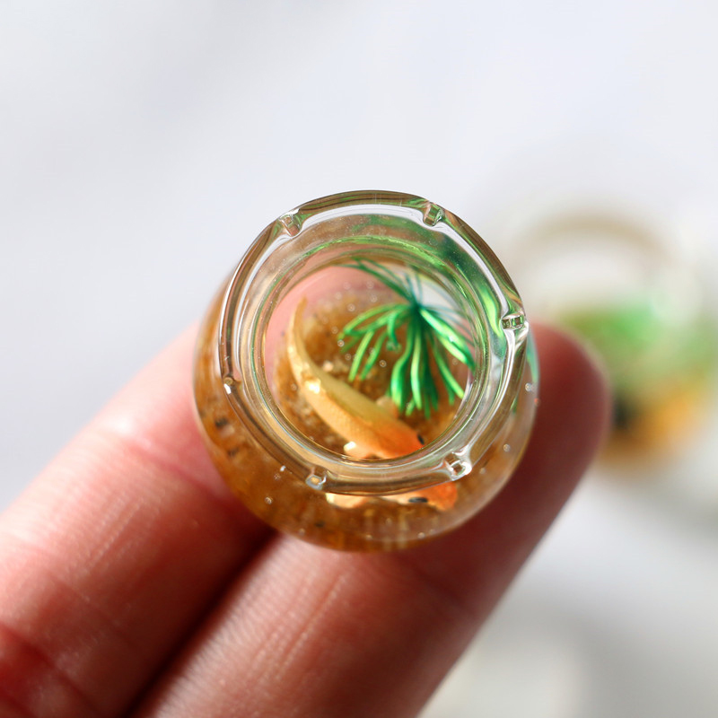 1Pc 1:12 Mini DollHouse Simula - Planted Aquarium Models ulasan dan harga