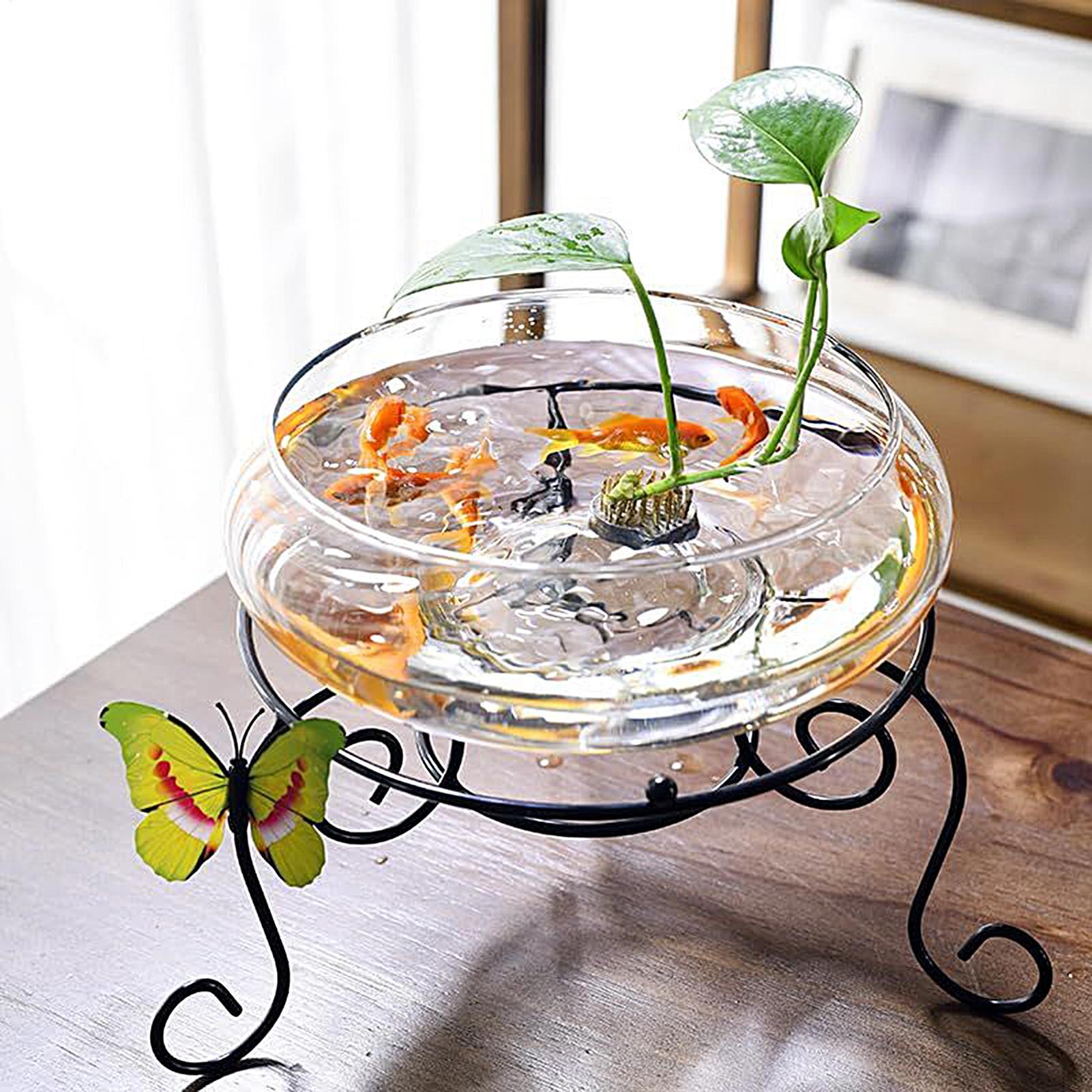 Fish Glass Bowl Glass Large Hy - Planted Aquarium Bowl ulasan dan harga