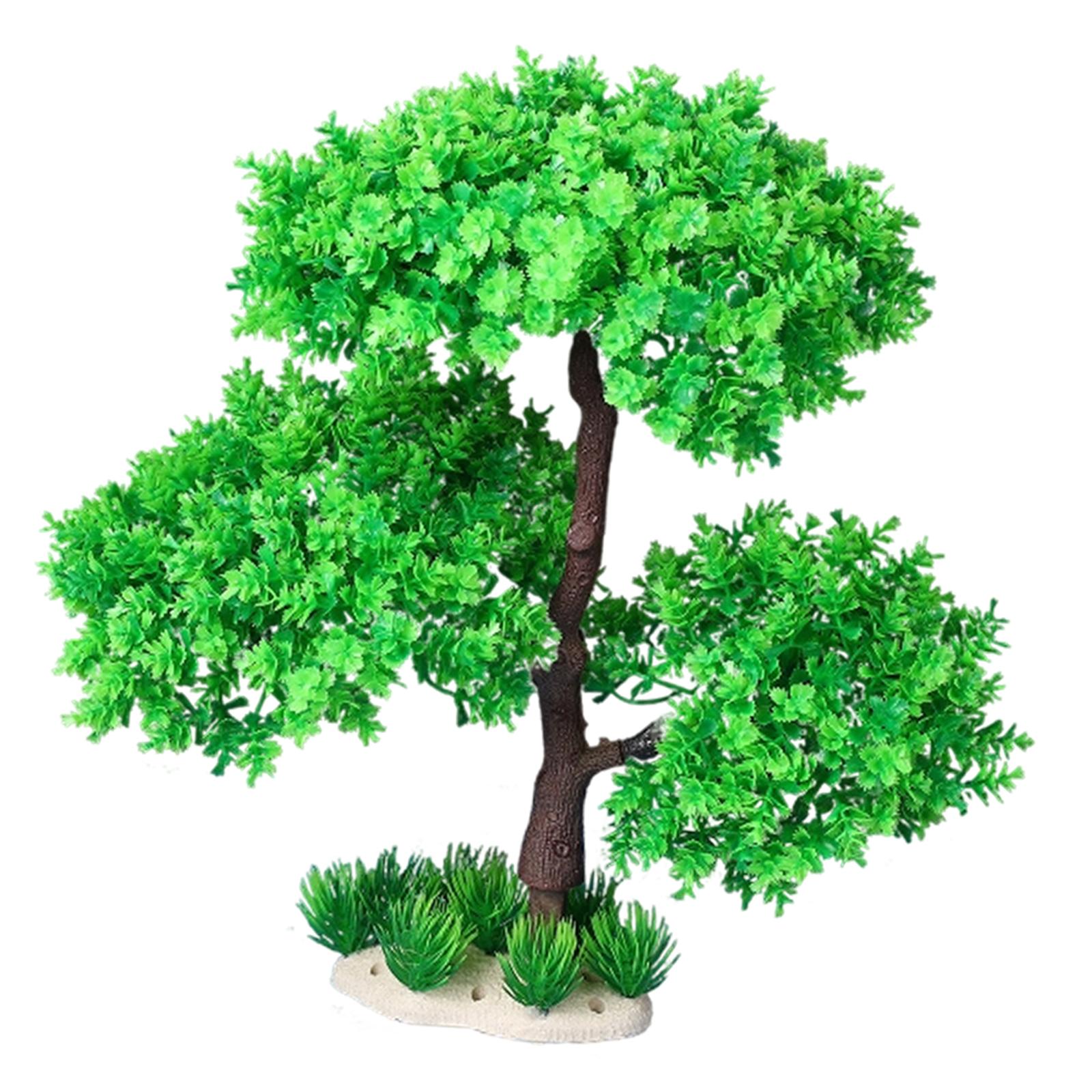Aquarium Plants for Freshwater - Planted Aquarium Models ulasan dan harga