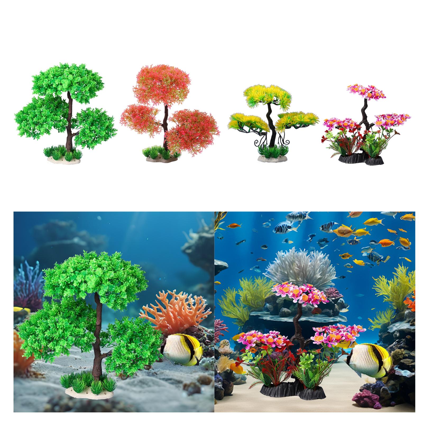 Aquarium Plants for Freshwater - Planted Aquarium Models ulasan dan harga