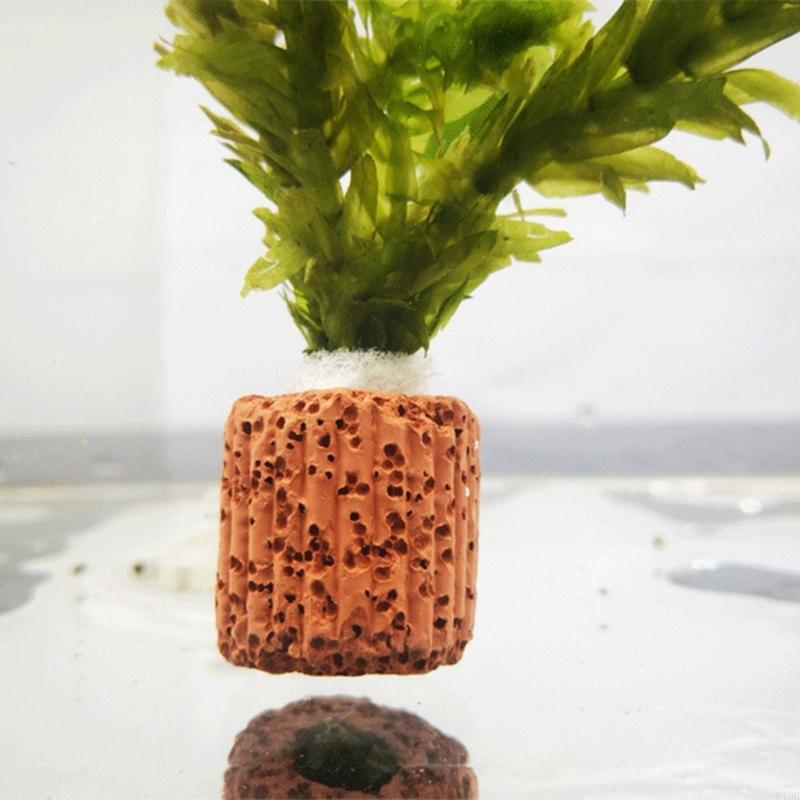 F19B Paottery Aquariums Plant  - Emersed Plants Aquarium ulasan dan harga