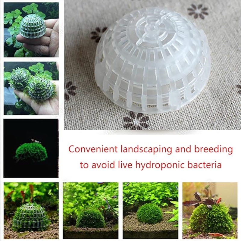 2pc Aquarium Moss Ball Holder, - Planted Aquarium Models ulasan dan harga